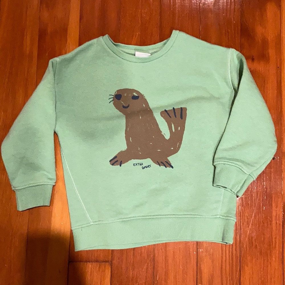 Zara Boy’s Sweater